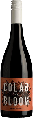 Colab and Bloom Shiraz 2017